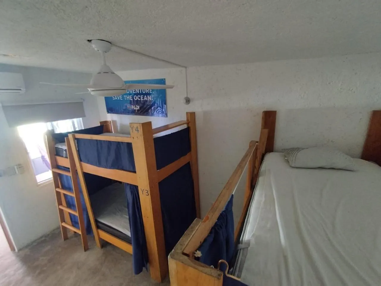 Blue Magic Hostel Cozumel Mexico