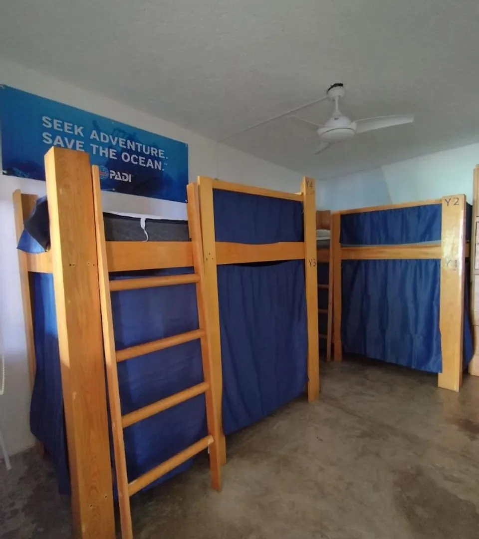 Blue Magic Hostel Cozumel